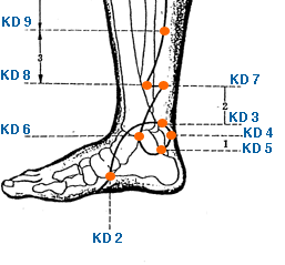 kd3 teeth pain reflexology point